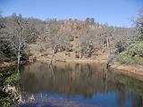 Henry Coe 003